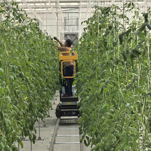 Soteng : Optimisation de l'Utilisation de l'Espace, Culture de Tomates en 3D, Serre de <span class=keywords><strong>Balcon</strong></span>, Irrigation Hydroponique - Product Image 1