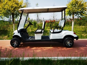 Carritos de Golf Clásicos de Lujo Vintage 2025 de China, de 5-6 Plazas, con Motor de CA de 5KW y Batería de Plomo-Ácido, Nuevo Modelo en Venta - Product Image 4