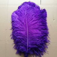 Grandes Plumes d'Autruche pour Costumes de Carnaval 55-60cm Blanches Noires Plumes Naturelles Plumes Pas Chères à Vendre pour Mariage et Fête