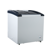 Congélateur coffre électrique portable en acier inoxydable avec compresseur et porte coulissante pour crème glacée 156L pour usage domestique et commercial