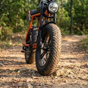 Bicicleta Eléctrica Todoterreno con Llantas Anchas y Batería Extraíble, Bicicleta Eléctrica Vintage de Doble Asiento para Senderos de Montaña y Caminos de Tierra - Product Image 6