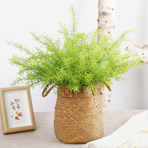 Plante de <span class=keywords><strong>fougère</strong></span> artificielle en pot pour <span class=keywords><strong>d</strong></span>écoration intérieure, mariage, <span class=keywords><strong>ornement</strong></span>, <span class=keywords><strong>fougère</strong></span> persane artificielle - Product Image 2