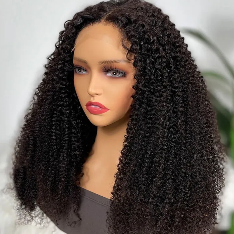 Human Hair Curly Wig 13X6 Hd Lace Front Wig Pre Plucked Transparent Lace Frontal Afro Kinky Wig