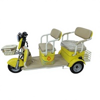 Tricycle Électrique Ouvert à Trois Roues 1000W 60V avec Moteur Arrière, 3 Vitesses, 3 Sièges pour Adultes - Vente Chaude