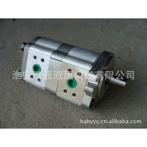 ปั๊มเกียร์คู่รุ่นใหม่ 300/300 พร้อมโมดูลสามตัว - Product Image 3