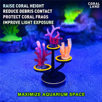 Support de Fixation pour Corail Fluorescent Coral Land – Base pour Frag de Corail, Support d'Élevage pour Aquarium, Décoration et Ornements pour Récif Aquatique