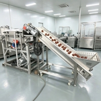 Hoog rendement pilotplant voor de productielijn van dadelpalmolie, jujubesiroop en melasse.