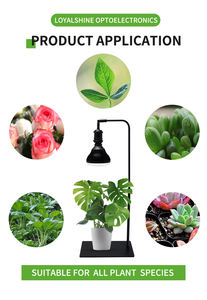 Invernadero LED <span class=keywords><strong>de</strong></span> espectro completo personalizado <span class=keywords><strong>de</strong></span> 24W, plantas domésticas inteligentes, granja <span class=keywords><strong>Vertical</strong></span>, Lettus PAR38, luz deportiva para cultivo - Product Image 3