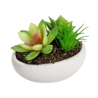 Plantes succulentes artificielles avec Pots en céramique, pratique, plantes succulentes, planteur