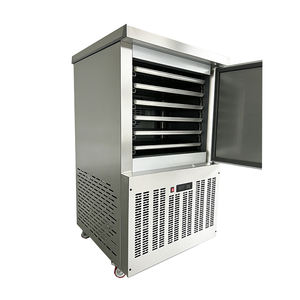 Congelatore Rapido a 6 Vasche Monotemperatura per Attrezzature Mediche, Raffreddamento ad Aria, Congelamento Rapido Senza Shock - Product Image 5