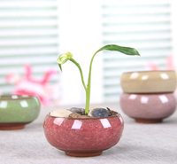 Mini-pots en céramique émaillée en gros pour la maison, idéaux pour les cactus, les succulentes et comme pots à thé effet craquelé
