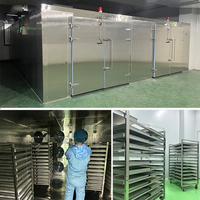 Fruitdroger voor het drogen van mango's en bananen, commerciële dehydrator met grote capaciteit (500-2000 kg), PLC-gestuurde groentedroogmachine
