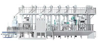 Ligne de production de riz completement automatisée pour l'agriculture : machines de nettoyage, de déstonage et de polissage du riz