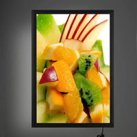 Panneau de menu de restaurant rétroéclairé LED 16x24 24x36 27x40 avec température de couleur personnalisable, certifié CE RoHS