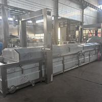 ZHONGNUO Machine de Blanchiment et de Pasteurisation Automatique pour Maïs Doux Frais, Fruits et Légumes, Stérilisateur Alimentaire à Vapeur SUS30408 de 8m