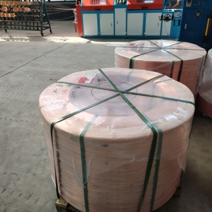 Prix au mètre : <span class=keywords><strong>Fil</strong></span>/câble en cuivre monobrin massif ----- Isolation en PVC pur, utilisation souterraine, 300/500V - Product Image 5