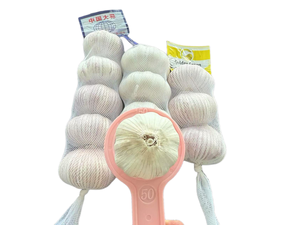 Trung Quốc Top-notch tinh khiết trắng tươi khỏe mạnh tỏi hoàn hảo cho ẩm thực sử dụng lưới túi bao bì thuận tiện cho thị trường bán - Product Image 6