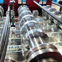 Machine de formage à froid entièrement automatique et personnalisée à grande vitesse pour la fabrication de profilés de tôles de toiture en acier pour ponts métalliques
