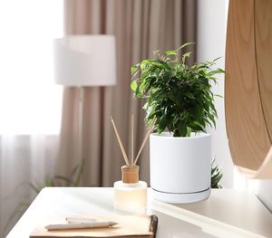 <span class=keywords><strong>Maceta</strong></span> de cerámica blanca para interiores de 6 pulgadas para plantas con orificio de drenaje y platillo <span class=keywords><strong>maceta</strong></span> de cerámica con bandejas para plantas - Product Image 3