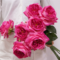 Großhandel Hochwertige Künstliche Latex-Rosen Weiß Rosa Realistische Handgefertigte Moderne Blumen für Muttertag Weihnachten Hochzeit Heim