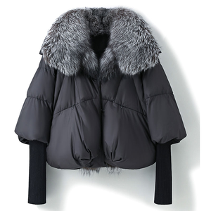 Manteau épais et léger en <span class=keywords><strong>duvet</strong></span> <span class=keywords><strong>d</strong></span>'<span class=keywords><strong>oie</strong></span> pour femme, Parka <span class=keywords><strong>d</strong></span>'hiver chaude en fourrure de renard argenté - Product Image 2