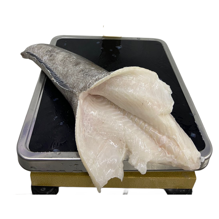 Patagonischer Zahnfisch oder chilenischer Meeresbaas HGT Premium-Fischprodukt