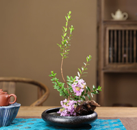 Petit plat en céramique et porcelaine, uni, pour l'arrangement floral, pot à fleurs, assiette à dessert et dîner, ou vase.
