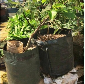 Bolsas cuadradas para cultivo de patatas y verduras, bolsa para vivero, invernadero para terraza y jardín - Product Image 5