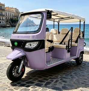 รถสามล้อไฟฟ้า 6 ที่นั่งสุดหรู ได้รับการรับรองมาตรฐาน EEC COC สำหรับการขนส่งวีไอพีในเมือง - Product Image 6