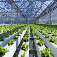 Système hydroponique PVC NFT Channel Farm Serres agricoles pour la culture de légumes à feuilles