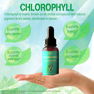 Suplemento Dietético de Clorofila Líquida con Sabor a Menta, Vegano, Orgánico, Natural, Sin Azúcar, Haccp, OEM, ODM - Product Image 3