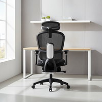 Chaise ergonomique intelligente et réglable en maille avec support lombaire dynamique, structure en plastique, style exécutif, garantie 3 ans pour la maison moderne
