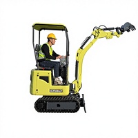 Kleiner Mini-Raupenbagger mit Briggs & Stratton Motor, Hengli Hydraulikkomponenten, Hocheffizienter Motor & Pumpe, Mini-Bagger
