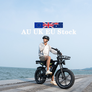 KOOLUX Bicicleta de Montaña con Neumáticos Anchos, Motor Eléctrico, Moped, Ebike X9PRO X9 PRO, Envío Rápido desde Almacén en Europa, Dropshipping - Product Image 2