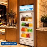 Vitrine Réfrigérée Commerciale pour Bières, Refroidissement par Air, Écran Intégral, Économe en Énergie, Sans Givre, Porte Simple