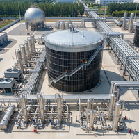 Digesteur anaérobie pour déchets alimentaires et fumier animal, réacteur automatique en acier inoxydable, réservoir de traitement 8500m, réservoir Schumann