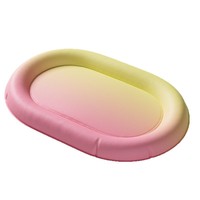 Tapis rafraîchissant pour animaux de compagnie avec design moderne et solide, en PVC respirant, non toxique et résistant aux morsures, pour chiens et chats
