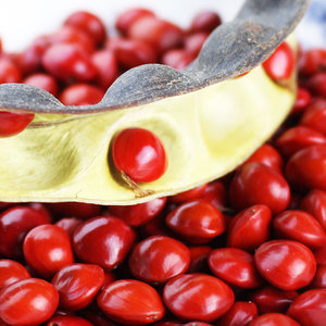 Perles de Bodhi en forme de cœur rouge, en vrac, pour la fabrication de bijoux, origine Yunnan, emballage en vrac SSHD01 - Product Image 1