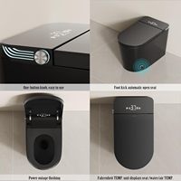 WC intelligent monobloc, couleur personnalisée, OEM/ODM, double chasse d'eau, pour appartement moderne