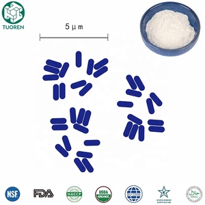Souches de bactéries probiotiques étudiées en profondeur et offrant de nombreux avantages pour la santé Lactobacillus Reuteri - Product Image 2