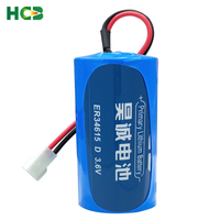 Batterie au lithium non rechargeable HCB ER34615 avec connecteur 3,6 V pour compteur d'eau intelligent, compteur de gaz, débitmètre