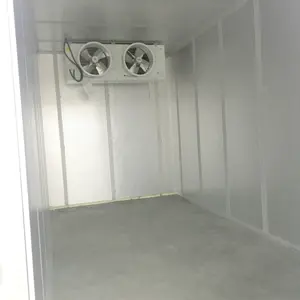 冷藏室走在冷却器 pu pir 墙面夹芯板制造商