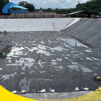 Rouleau de bâche plastique Membrane PE Géomembrane agricole Fournisseur