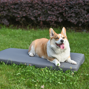 Cuccia Autogonfiabile per Cani e Gatti, Grande Materassino Gonfiabile per Animali Domestici con Rivestimento Lavabile, Vendita all'Ingrosso - Product Image 6