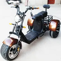 2000W Top 2020 Match Golf Bag Carry 3 Wiel Scooter Trike Back Mand Citycoco Met Vet Bike Tire