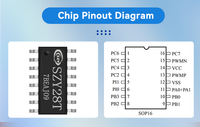 SZY28T-468 Fonction DSP avancée, puce vocale MCU 32 bits à 8 canaux, SOP8 SOP16 SSOP24, 1.8-5.5V, programmable pour musique et voix