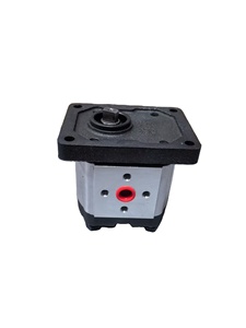 Piezas y componentes de equipos de ingeniería agrícola, bomba de engranajes C901-F310-005 - Product Image 2