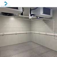 Chambre froide à panneaux PU avec porte et fenêtre, chambre de congélation