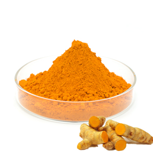 优质天然成分干姜黄根提取物姜黄素98% 从印度