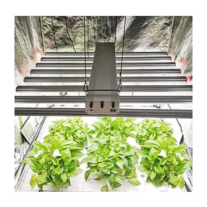 Agricultural Greenhouses Hydroponic Greenhouse Systems Grow Lights 1000 For Indoor Plants Vegetable Seeds